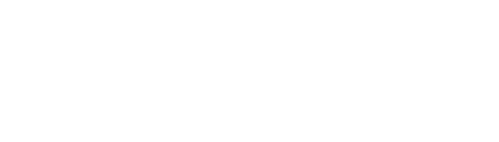 Next Level Development